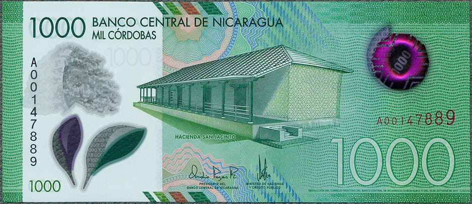 NIC1000_17A.jpg