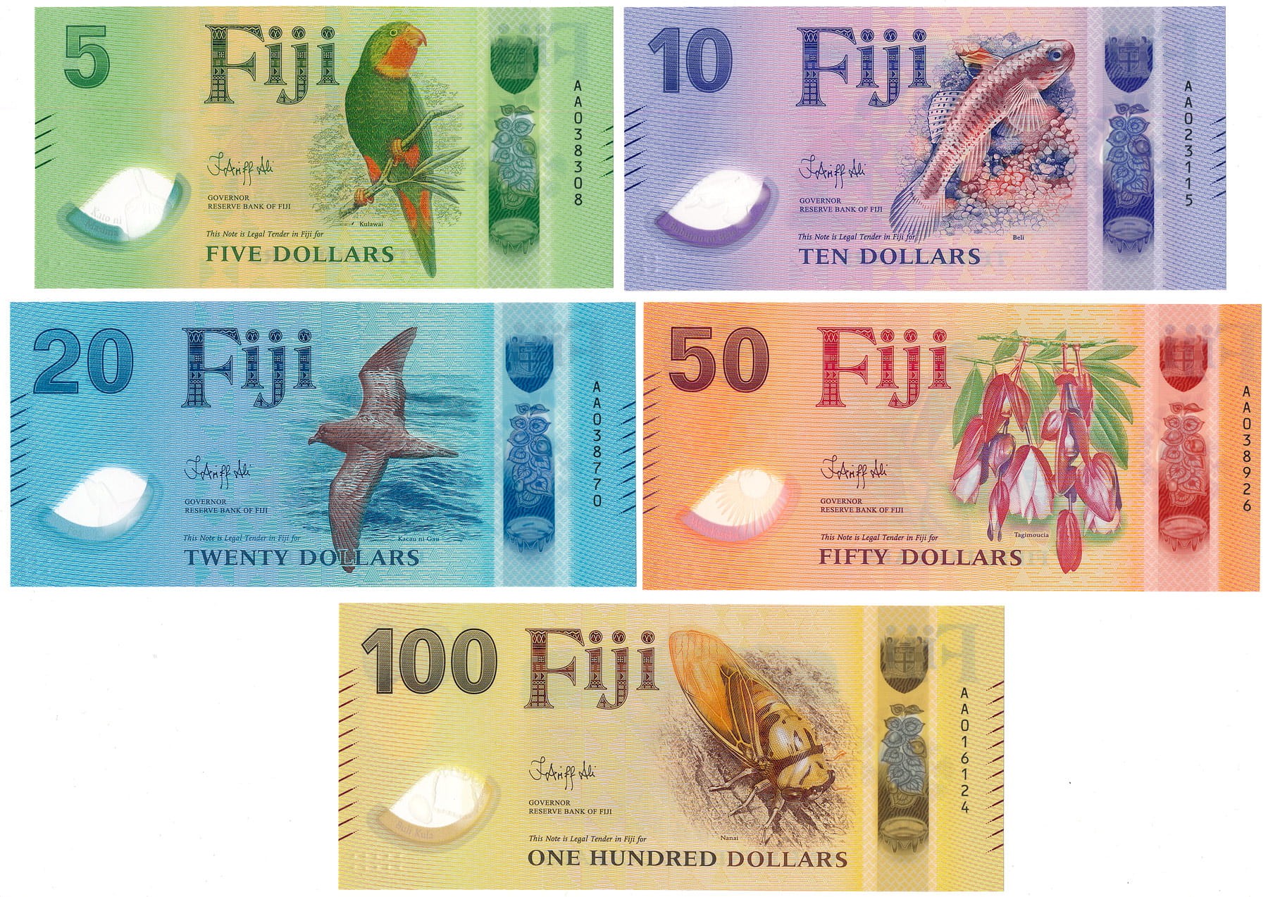 FID_set25A.jpg