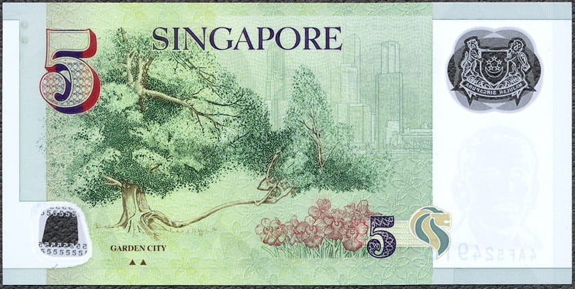 SGD5_13R.jpg