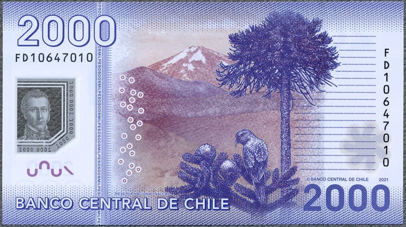 CHP2000_21R.jpg
