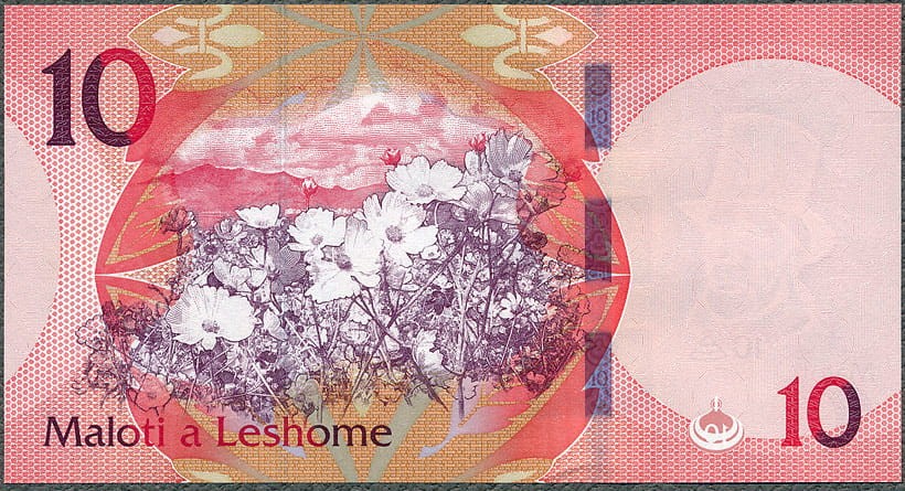 LEM10_24R.jpg