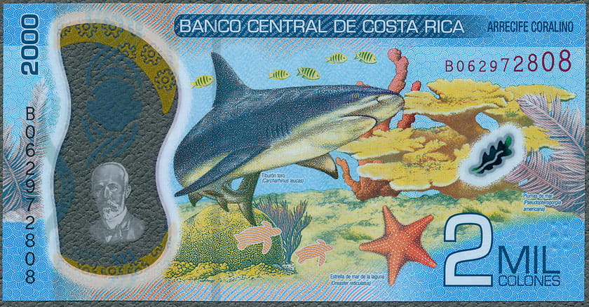 CRC2000_22R.jpg