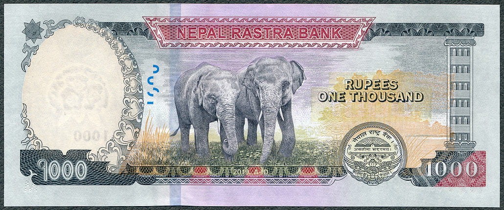 NPR1000_19R.jpg