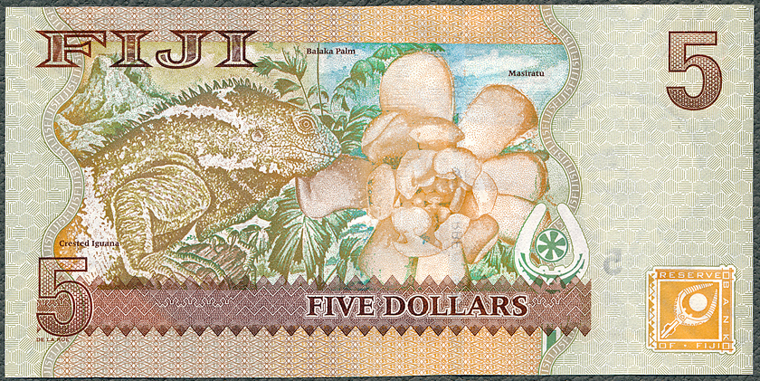 FID5_07R.jpg
