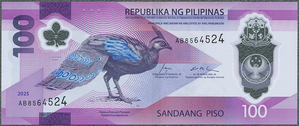 PPP100_25A.jpg
