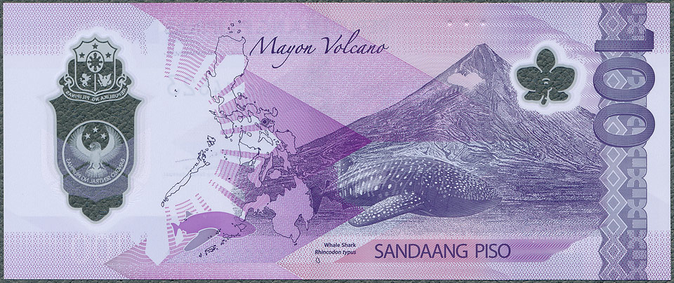 PPP100_25R.jpg