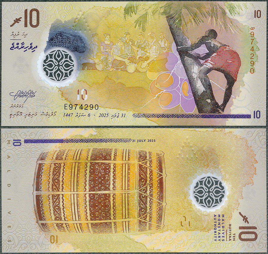 MDR10_25.jpg