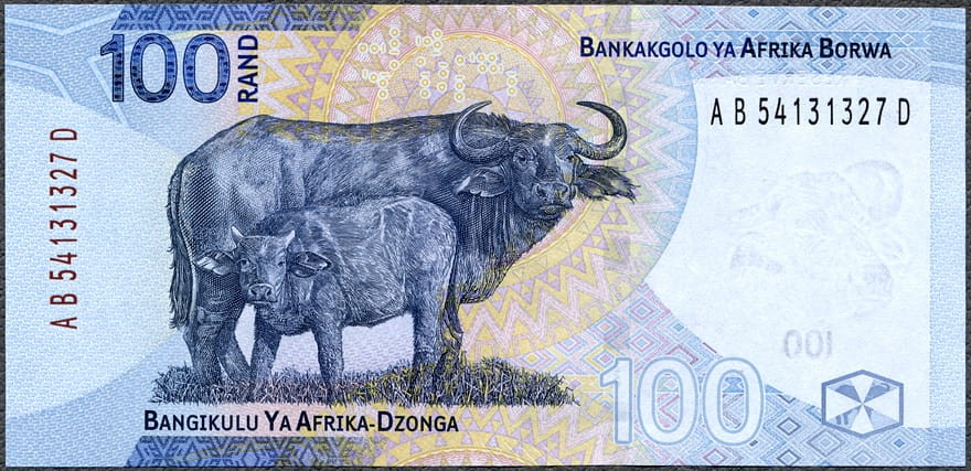 RSA100_23R.jpg