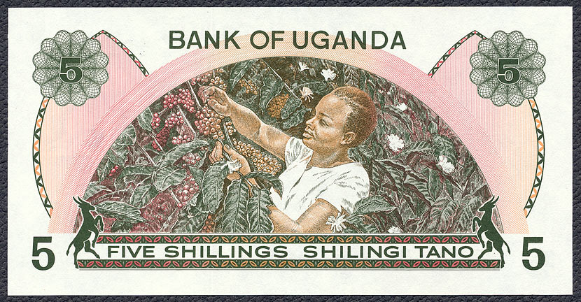 UGS5_82R.jpg
