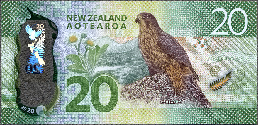 NZD20_16R.jpg