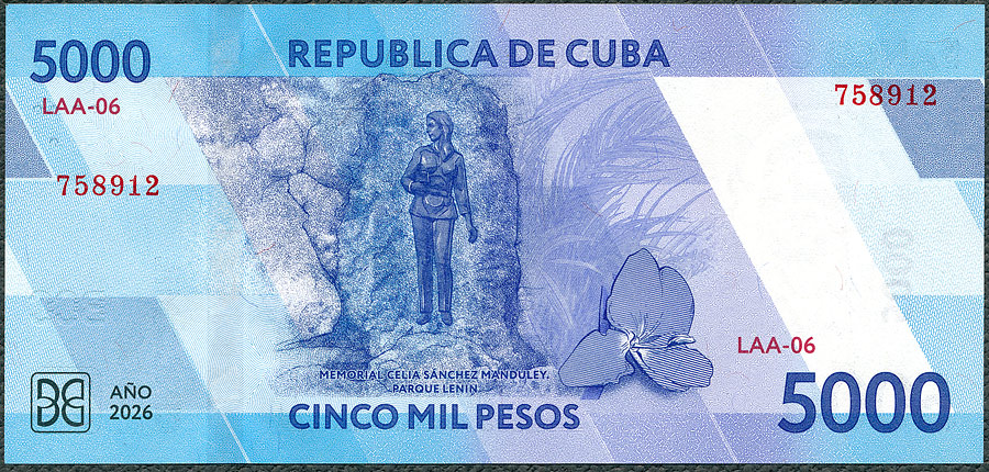 CUP5000_26R.jpg