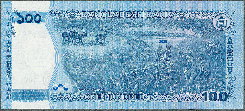 BGT100_25R.jpg