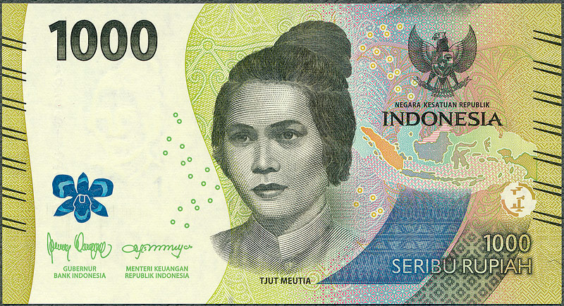 IDR1000_23A.jpg