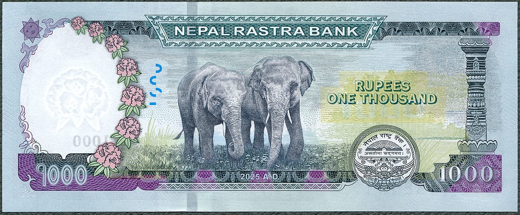 NPR1000_25R.jpg