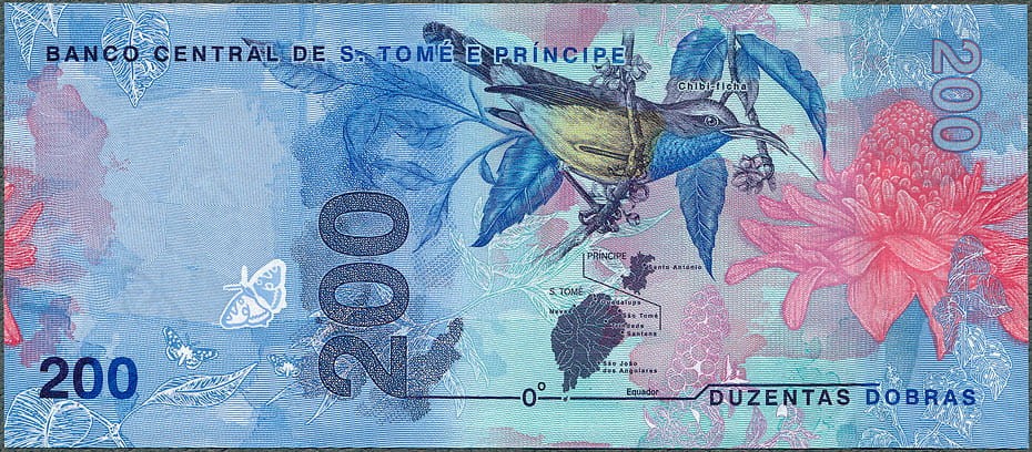 STD200_20R.jpg