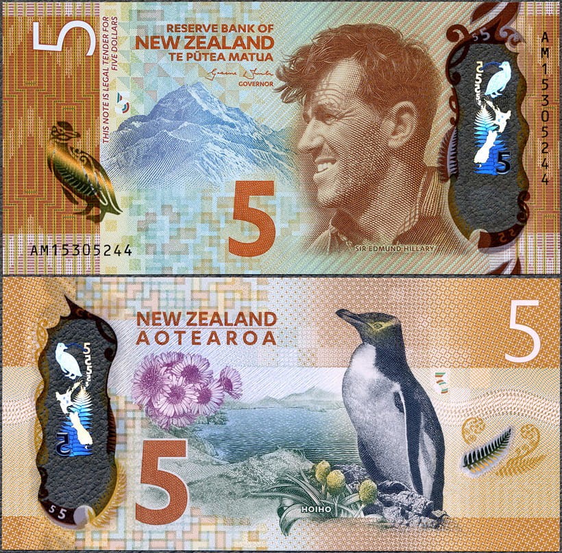 NZD5_15.jpg