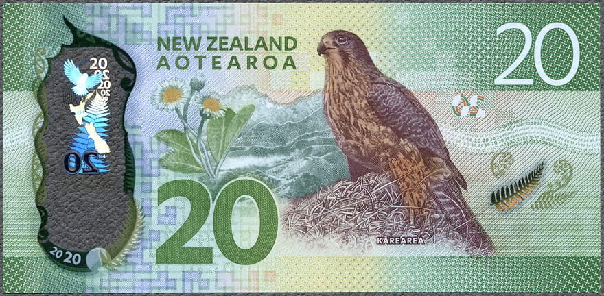 NZD20_18R.jpg