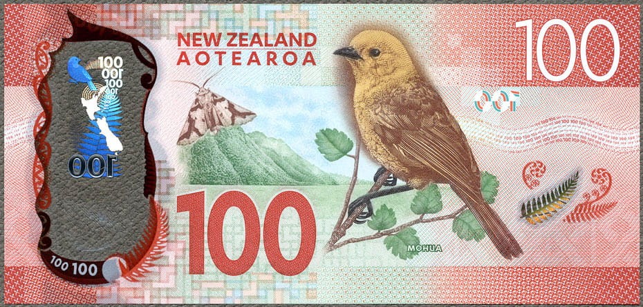 NZD100_16R.jpg